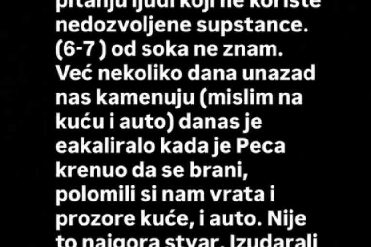 Neca Lazić Instagram