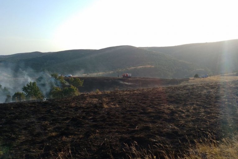 Požar na Ravnoj gori