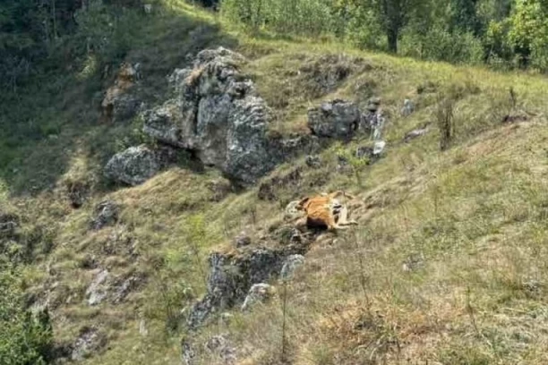 VANREDNA SITUACIJA U CELOJ SJENICI! Dugotrajna suša ugrozila SNABDEVANJE VODOM, pomoć stiže i od Vojske Srbije