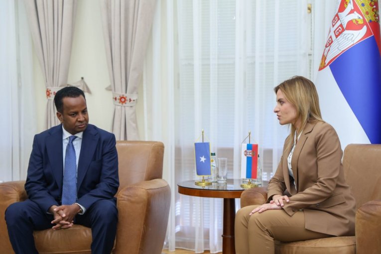 "DUGA I BOGATA ISTORIJA SARADNJE DVE ZEMLJE": Đurđević Stamenkovski sa ministrom spoljnih poslova Somalije