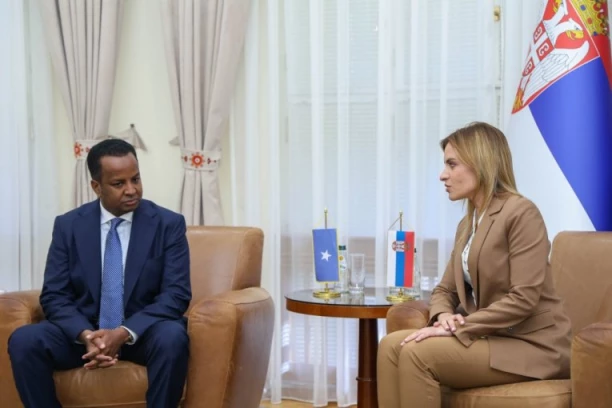 "DUGA I BOGATA ISTORIJA SARADNJE DVE ZEMLJE": Đurđević Stamenkovski sa ministrom spoljnih poslova Somalije