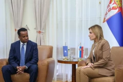 "DUGA I BOGATA ISTORIJA SARADNJE DVE ZEMLJE": Đurđević Stamenkovski sa ministrom spoljnih poslova Somalije