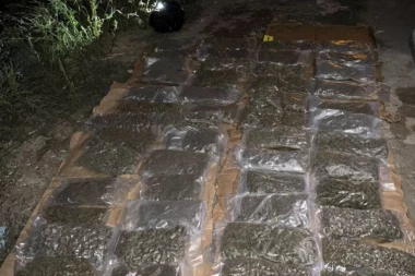 VELIKA ZAPLENA DROGE! Policija upala u stan u Obrenovcu, evo šta su pronašli