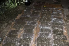 VELIKA ZAPLENA DROGE! Policija upala u stan u Obrenovcu, evo šta su pronašli