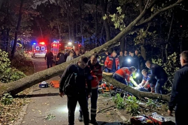 UŽAS NA KOŠUTNJAKU! Drvo palo na grupu izletnika dok su slavili rođendan - IMA TEŠKO POVREĐENIH!