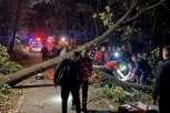 UŽAS NA KOŠUTNJAKU! Drvo palo na grupu izletnika dok su slavili rođendan - IMA TEŠKO POVREĐENIH!