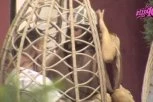 NAŠLJOKANA LAURA NASKOČILA NA MATEJU: Šta smem da pipam? (VIDEO)