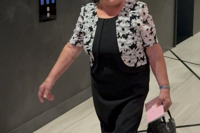 Majka Nikoleta