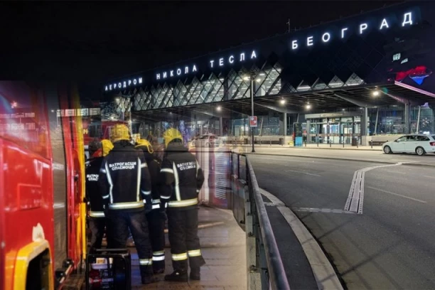 BUKTINJA KOD BEOGRADSKOG AERODROMA: Vatra guta sve pred sobom