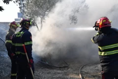 OGROMAN POŽAR GUTA BRAČ: Oko 200 ljudi evakuisano, plamen se proširio prema uvalama
