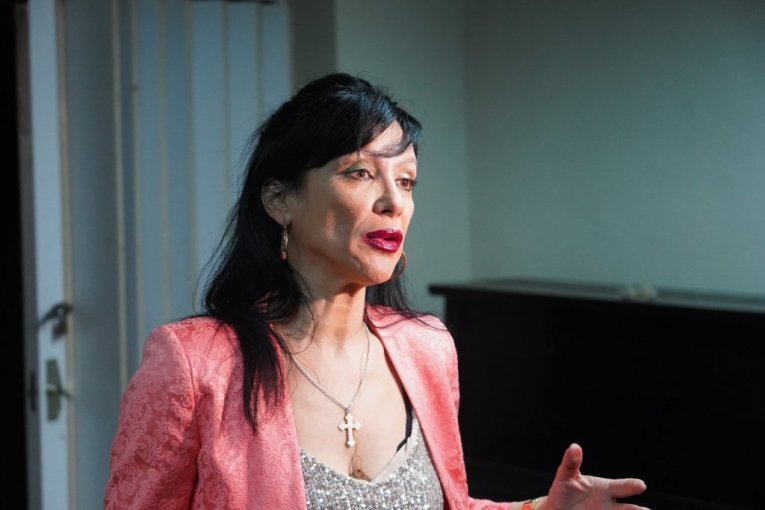 Vesna Vukelić Vendi, pevačica