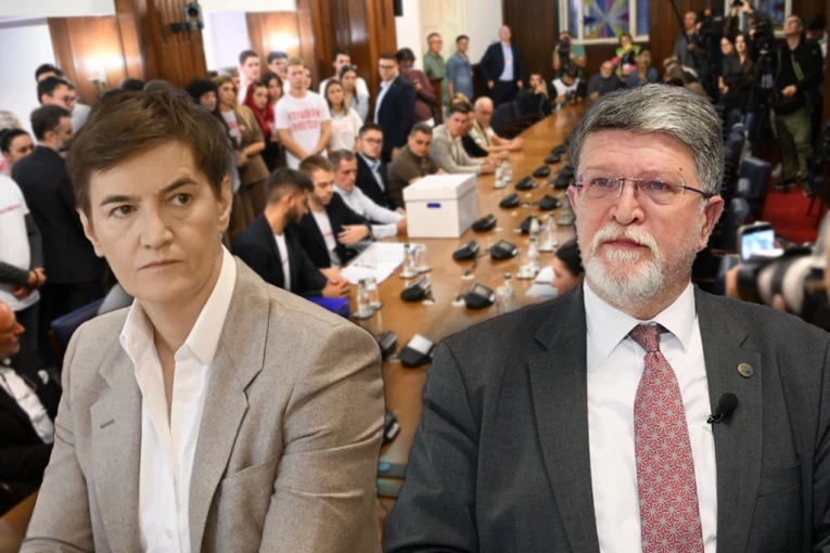 DIREKTNO MEŠANJE U IZBORE! Picula i Bartulica u EP podržali Studentsku listu, oglasila se Brnabić!