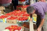 ŠTA SE OVO DEŠAVA SA PAPRIKAMA? Cene već otišle u NEBESA, prodavci otkrili ZAŠTO će zimnica biti još SKUPLJA!