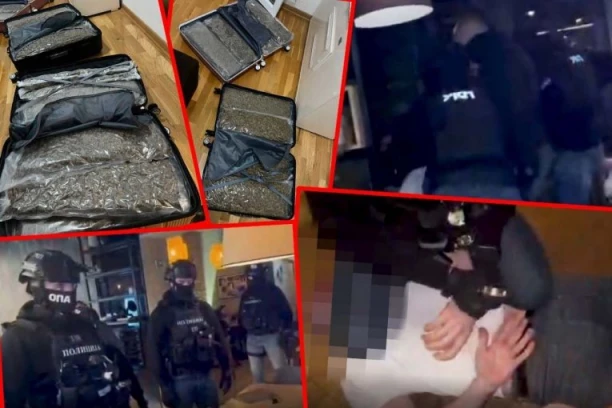 PAO JOŠ JEDAN ČLAN "VRAČARSKOG KLANA"! MARKO ZEKIĆ UHAPŠEN U BEOGRADU! Policija mu pronašla 30 kilograma droge (FOTO)