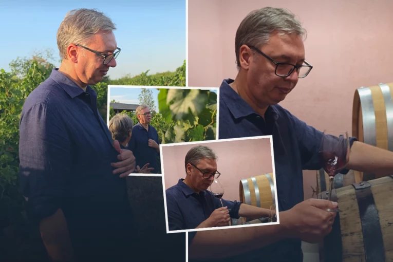 "OVAKO VREDNI I POSVEĆENI LJUDI DONOSE PROSPERITET!" Vučić posetu Podunavskom okrugu završio posetom porodici Madžić - SAM JUTROS KRENUO SVOJIM AUTOMOBILOM U OBILAZAK! (VIDEO)