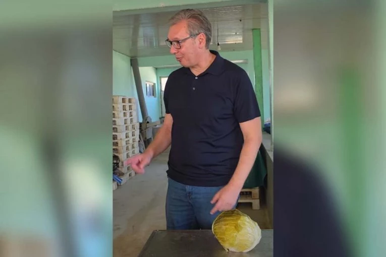 "TAKVI LJUDI VODE SRBIJU NAPRED!" Vučić posetio porodicu Milivojević, probao kupus koji proizvode! (VIDEO)