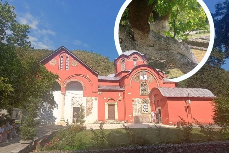 DOK OVO STABLO RAĐA, BIĆE I SRBA NA KOSOVU I METOHIJI: Monahinja Irina iz Pećke patrijaršije podseća na drevno predanje (FOTO, VIDEO)