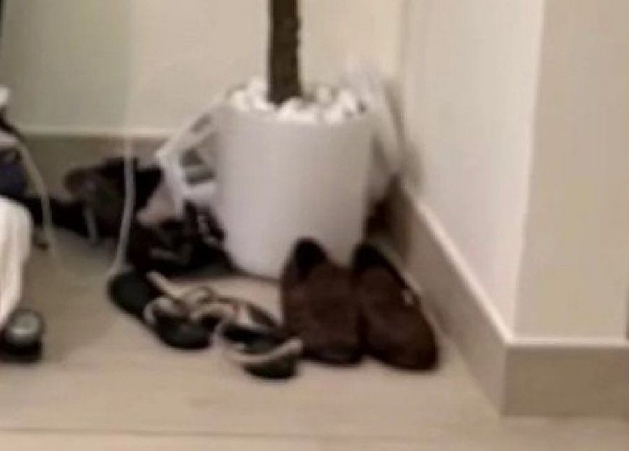 ANĐELA SLUČAJNO OTKRILA S KIM JE BILA U DUBAIJU?! Procurio detalj koji MENJA SVE! (FOTO)