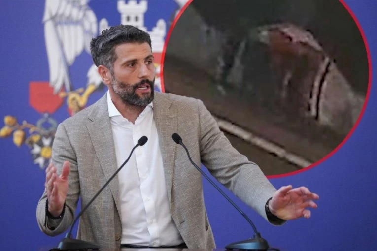 ISPLIVAO SNIMAK SA NADZORNIH KAMERA! Evo šta se zaista desilo sa Šapićem i odbornicom "Kreni-promeni"! (VIDEO)