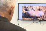 ODJEKNULA DETONACIJA U CENTRU BEOGRADA! Uništena bomba iz Drugog svetskog rata pronađena u Poenkareovoj!