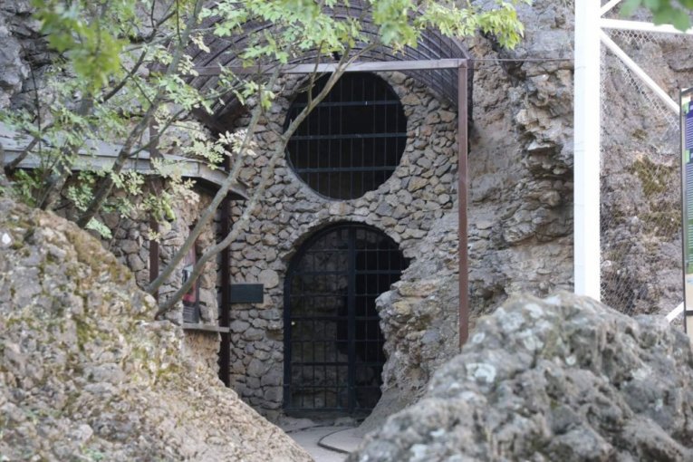 ST/Dragan Kadić