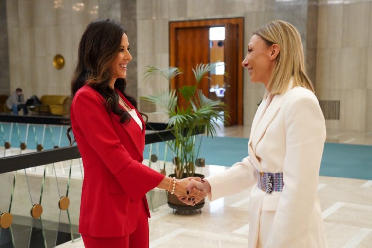 Tamara Vučić, Rise 2026