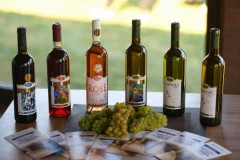 Od čokota, iz ljubavi, za generacije: sigurnost od vinograda do boce