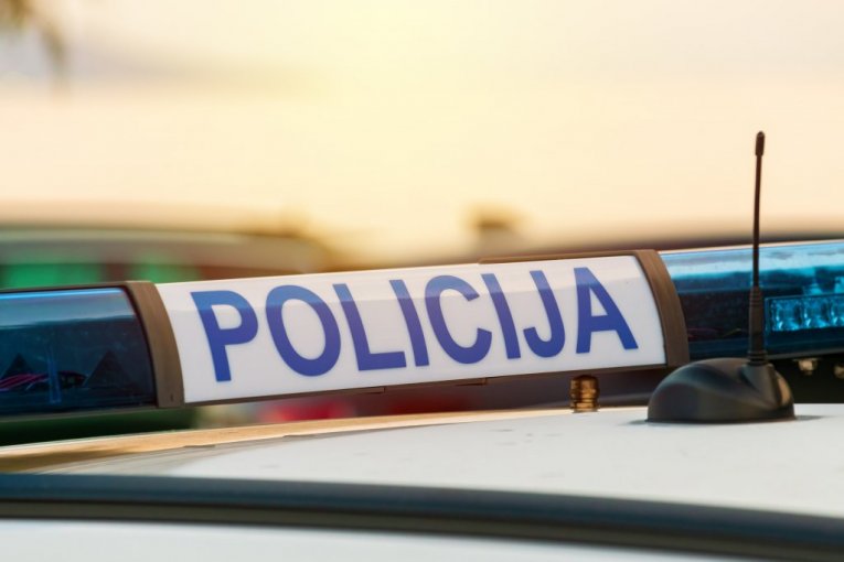 Hrvatska policija