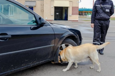 U GAĆAMA KRILA PRAVO BOGATSTVO STEČENO PREVAROM BEOGARAĐANA! Detalji hapšenja ukrajinskog bračnog para na Gradini - neverovatno šta su ljudi uradili! (FOTO)