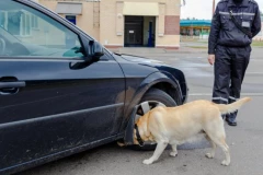U GAĆAMA KRILA PRAVO BOGATSTVO STEČENO PREVAROM BEOGARAĐANA! Detalji hapšenja ukrajinskog bračnog para na Gradini - neverovatno šta su ljudi uradili! (FOTO)