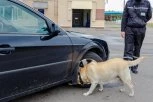 U GAĆAMA KRILA PRAVO BOGATSTVO STEČENO PREVAROM BEOGARAĐANA! Detalji hapšenja ukrajinskog bračnog para na Gradini - neverovatno šta su ljudi uradili!