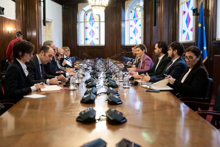 Ana Brnabić sa delegacijom PSSE