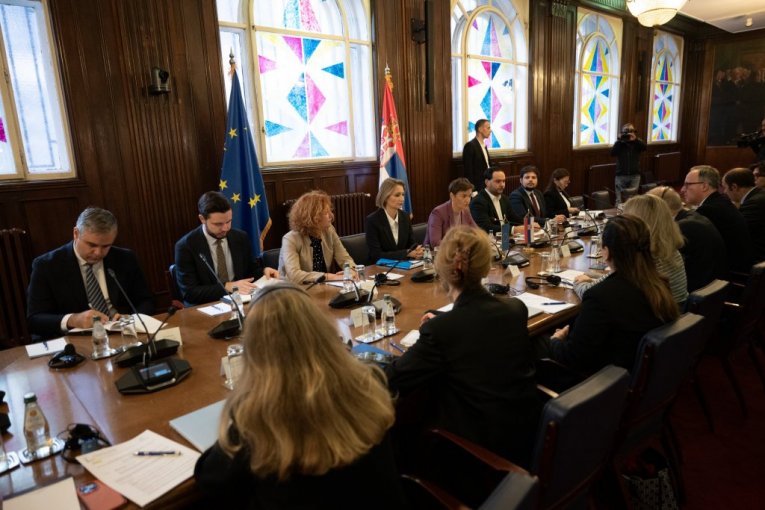 Ana Brnabić sa delegacijom PSSE