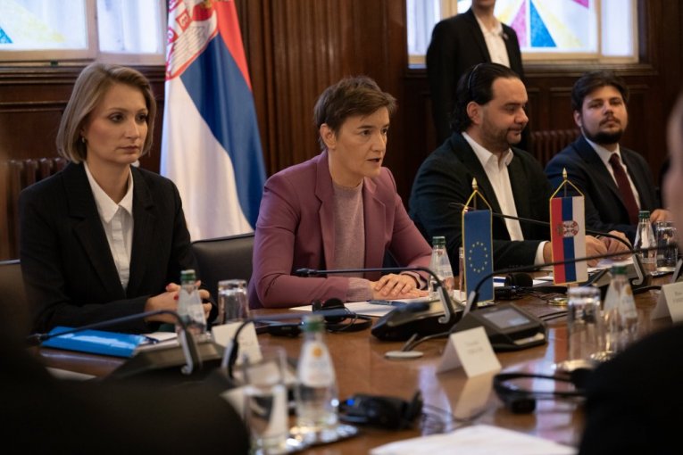Ana Brnabić sa delegacijom PSSE