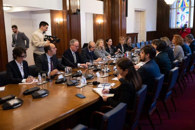 Ana Brnabić sa delegacijom PSSE