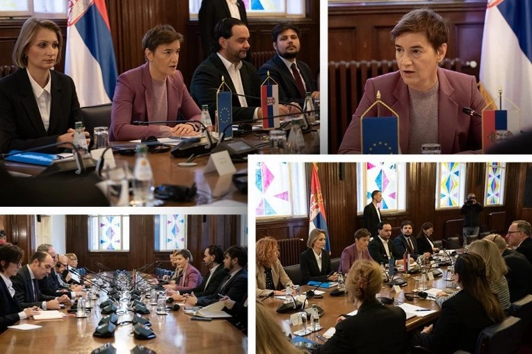 Posmatrači Saveta Evrope u Srbiji: Ana Brnabić razgovarala sa delegacijom koja prati izbore