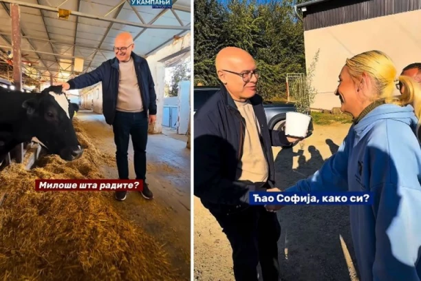 Vučević obišao gazdinstvo u Bačkoj Palanci, vrednoj Sofiji doneo i poklon: U štali ih je čak 400, a Bikica ga je posebno oduševila (VIDEO)