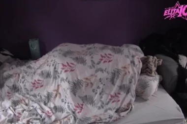 UMALO PUKAO KREVET OD ŽIVOTINJSKE VRELE AKCIJE! Ovo je najbrutalniji odnos ikada viđen na televiziji!