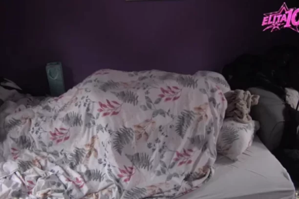 UMALO PUKAO KREVET OD ŽIVOTINJSKE VRELE AKCIJE! Ovo je najbrutalniji odnos ikada viđen na televiziji!