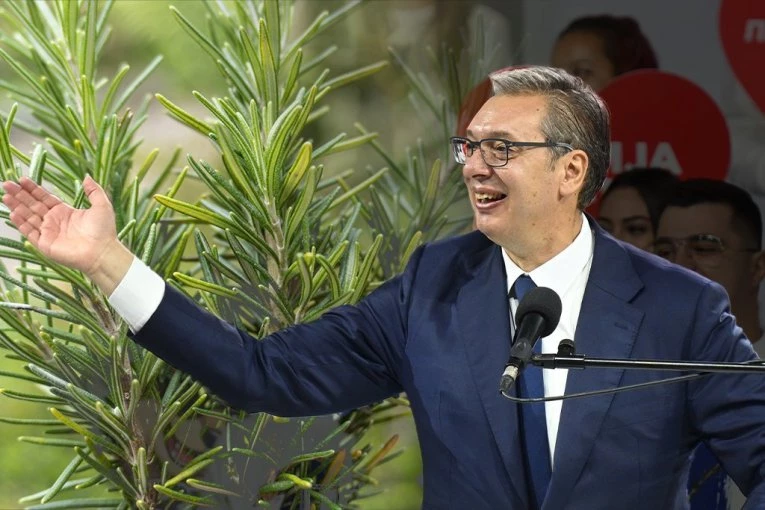 U SREDU VELIKI SKUP U NIŠU! Vučić očekuje ubedljivu pobedu na izborima: U nedelju će mirisati na RUZMARIN!