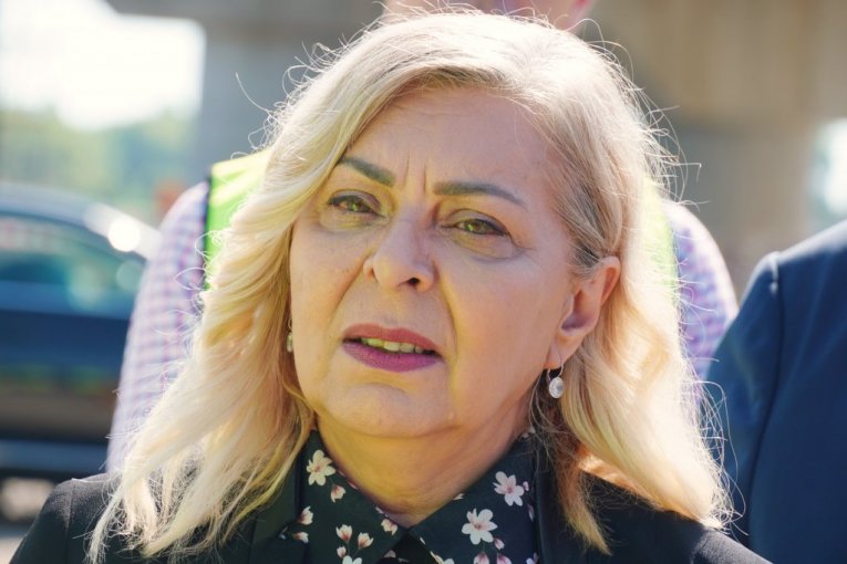 Aleksandra Sofronijević