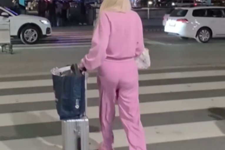 Jelena Karleuša, pevačica