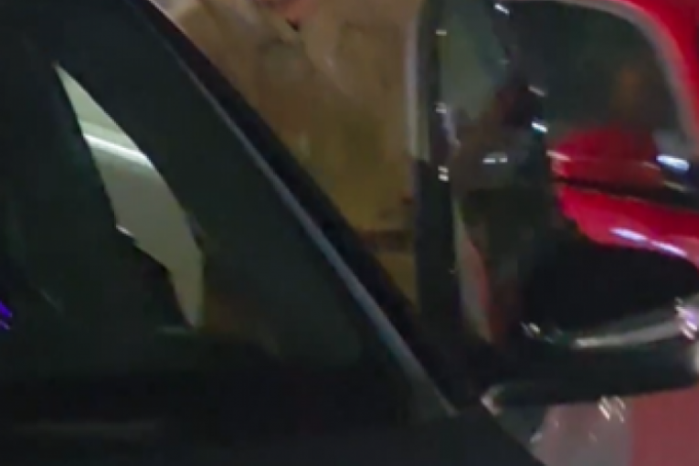 Jelena Karleuša i Aleksandar Ševo