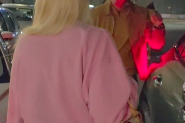Jelena Karleuša i Aleksandar Ševo