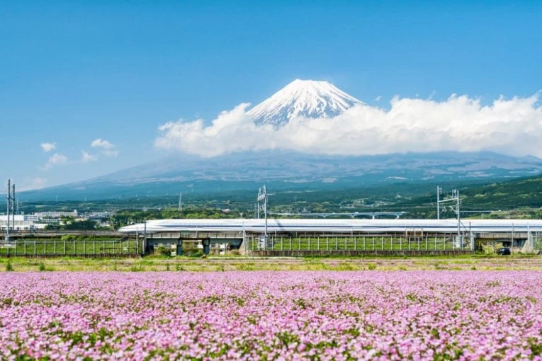 Japanska železnica angažovala dve koze: Njihov zadatak iznenadio je putnike (VIDEO)