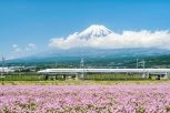 Japanska železnica angažovala dve koze: Njihov zadatak iznenadio je putnike (VIDEO)