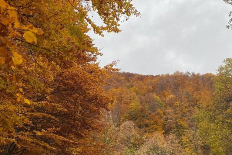 Šar-planina