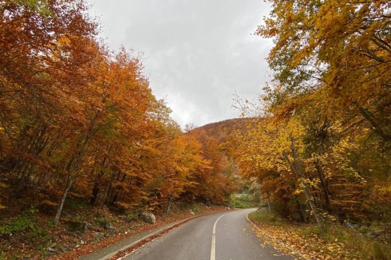 Šar-planina