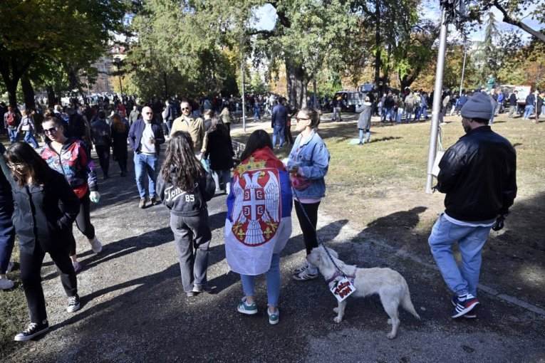 Čišćenje Pionirskog parka