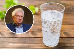 Da li je GAZIRANA VODA dobar izbor za svakodnevno piće? Prof. dr Momčilo Matić otkriva kome može ozbiljno da SMETA